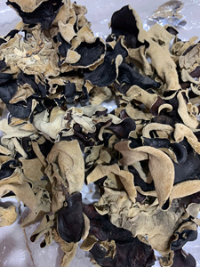 Việt Nam Khô Đen Nấm Cao Cấp Lớp Gỗ Tự Nhiên Tai Nấm Cho Nấu Ăn Xào Và Người sành ăn Thực Phẩm Công Thức Nấu Ăn - Product Image 2