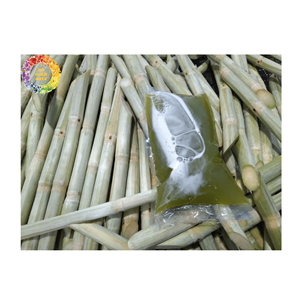 Frozen Sugarcane Juice Natural Flavor Reasonable Price Direct From Vietnam With High Quality Meet Export Standard - Product Image 1
