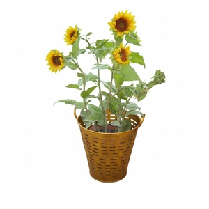 ชุดถังโลหะสีทองโบราณ 2 ใบ พร้อมหูหิ้ว สำหรับแขวนผนัง ปลูกต้นไม้ ตกแต่งบ้าน สไตล์วินเทจ - Product Image 5