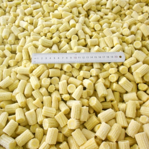 Maíz Bebé Congelado de Alta Calidad de Vietnam, Cosecha Fresca y Empacado para Pedidos de Exportación - Product Image 1