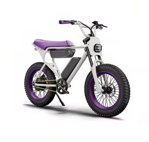 Vélo électrique X1S 2025 pour adultes, 750W, vitesse maximale de 25 MPH, autonomie de 38-56 miles (PAS1), pneus larges de 20"x4" - Product Image 1
