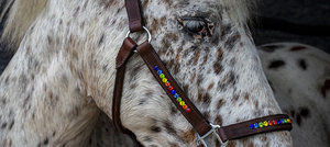 High Quality Custom Design <b>Equestrian</b> Halter Brown Leather with Bling Multicolour Wholesale - Product Image 6