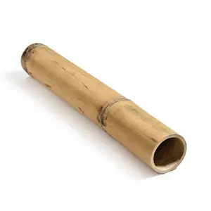 Natural raw bamboo pole raw materials wholesale supplier from Vietnam bamboo cane farming poles