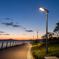 Lampe solaire de rue 40W, ensemble complet avec batterie lithium LiFePo4 externe sous panneau solaire pour utilisation en extérieur