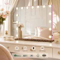 Adaptateur 12V 2A avec logo personnalisé, éclairage LED pour maquillage, 15 ampoules G35, port Type-C, personnalisation OEM ODM, grand miroir de maquillage