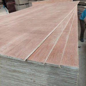 Contreplaqué de bouleau de 11mm avec la finition de Bintangor des deux côtés pour des applications d'entrepôt - Product Image 1