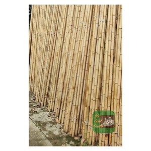 Pôles en bambou 100% naturels pour la décoration de la construction avec des pôles en bambou de haute qualité en gros directement de l'usine - Product Image 2