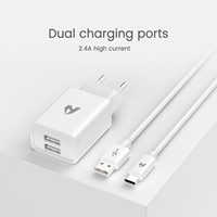 Adaptador de Red USB a Tipo-C con 2 Puertos USB, Plástico, Fuente de Alimentación de 5V/2.4A y Cables de Datos USB para Teléfono Móvil