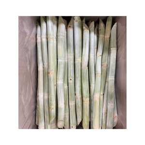 แท่งอ้อยแช่แข็งรสหวานเพื่อความสดใหม่ได้อย่างรวดเร็วรสชาติและกลิ่นหอมที่ดีสำหรับการคั้นน้ำและการใช้เครื่องดื่ม - Product Image 6