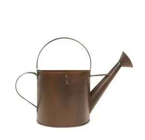 Arrosoir en bronze en métal de style nordique Top tendance Pot d'ingénierie de plantes de jardin de l'Inde pour une utilisation en extérieur - Product Image 1