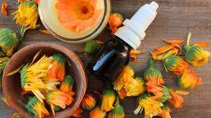 น้ำมันดาวเรืองธรรมชาติใช้น้ำมันหอมระเหยเครื่องสำอางอินเดีย - Product Image 6