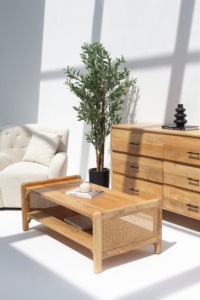 Table basse moderne faite à la main en bois de manguier massif de qualité supérieure avec meubles de salon en rotin pour usage domestique - Product Image 2