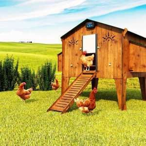 Hecho en Italia, laminado HPL de alta calidad, resistente al exterior, gallinero criado en casa - Product Image 4