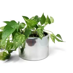 Countertop Dinning Centerpiece Planter Home Decorative Eye Catching quality tabletop Flower Stand Silver Metal Planter with LID