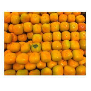 Vente de Gros Fruits Frais Kaki - Product Image 5