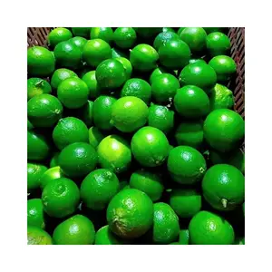 Cây trồng mới 2024 tươi lime citrus trái cây 100% tự nhiên hữu cơ nhiệt đới trái cây chua hương vị màu xanh lá cây chanh cho mùa hè cocktail uống