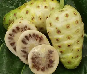 Fruit de noni pour tisane et boisson de désintoxication/noni sec du Vietnam pour savon naturel - Product Image 1