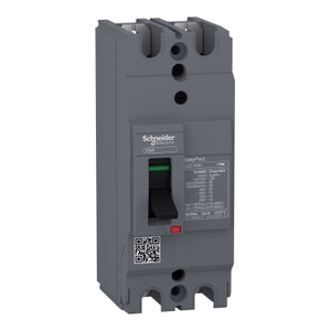 Interruttore Automatico Miniaturizzato SCHNEIDER ELECTRIC Easypact EZC100H-TMD-80 a 2 Poli Modello 2D EZC100H2080 - Product Image 1