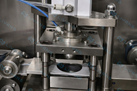 Machine d'emballage automatique haute vitesse pour sachets de thé en fibre de maïs, idéale pour le maté et les mélanges de tisanes botaniques