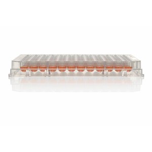 Thermo Scientific nunc 96-Well อะไหล่ไมโครเพลทรูปตัวยูด้านล่างและอุปกรณ์เสริม (แมว No. 168136) - Product Image 1