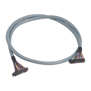 Cavo di Collegamento Discreto per Input e Output (IO) SCHNEIDER ELECTRIC ABFT20E100 da 1 m per Controller Base Modulare - Product Image 1