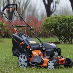 Mini MOQ 350mm 650W/1000W Tondeuse à gazon à poussée manuelle avec télécommande, moteur 2 temps 125cc, qualité industrielle, 24V, pour coupe de gazon - Product Image 6