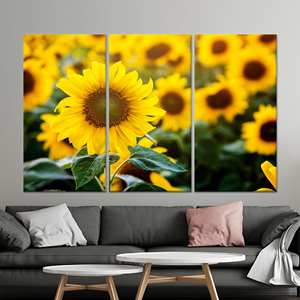Impresión en lienzo de girasoles: decoración de pared de estilo rústico botánico, lienzo enrollado en 3 capas - Product Image 1