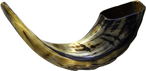 ฮอร์น shofar แตรธรรมชาติสำหรับเป่า Rosh Hashanah คุณภาพสูง - Product Image 4