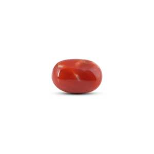 Coral rouge japonais 14,2 carats, taille ovale, poli, cornaline naturelle certifiée IGI, taille de la pierre précieuse 10 mm pour accessoires de bijouterie - Product Image 2
