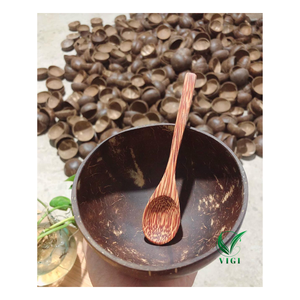 Bol en coquille de noix de coco fabriqué à la main respectueux de l'environnement vietnamien: bols de service naturels et durables pour les smoothies, les salades - Product Image 2