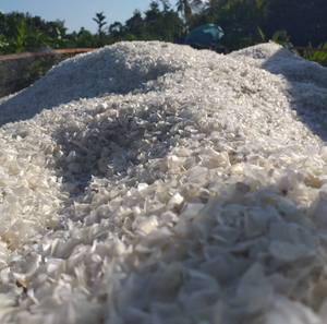 Escalas de besugo secas de alta calidad-Suministro 2024 | Proveedor de Vietnam | Procesado y descalcificado - Product Image 4