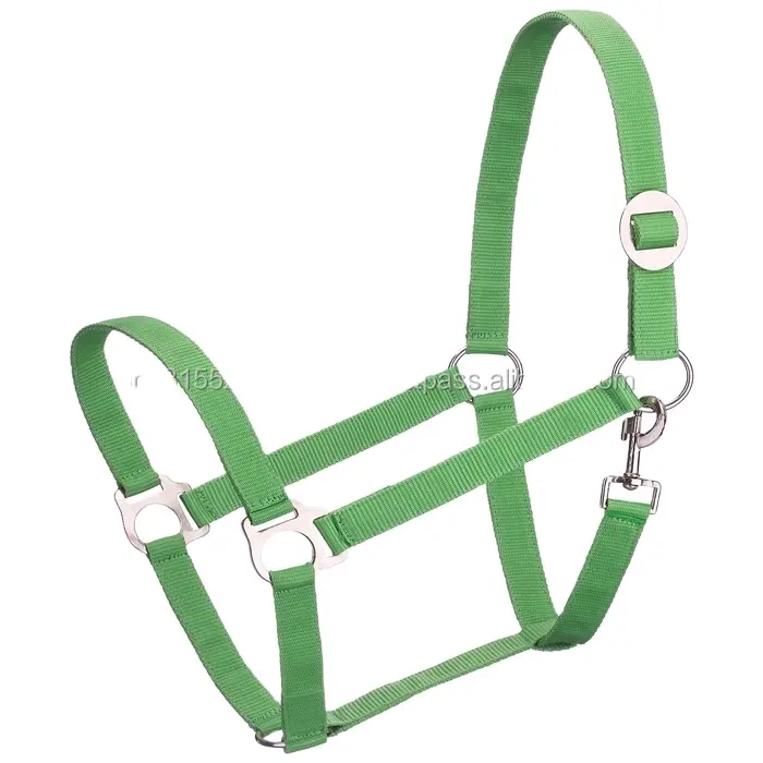 Nylon/PP Halter tùy chỉnh phụ kiện tất cả các kích cỡ khác nhau Màu sắc OEM nhà máy nhà sản xuất Tiếng Anh yên halters