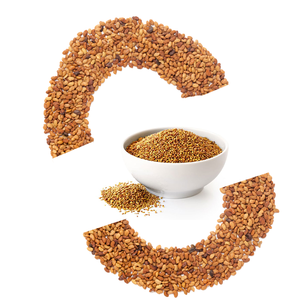 Alfalfa hạt giống phổ biến màu xanh lá cây thức ăn gia súc cho gia súc đa dạng bao gồm Trà hạt giống bữa ăn - Product Image 1