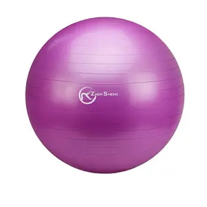 Zhensheng Venta caliente Home Gym Ball Pilates Ejercicio Ball Swiss yoga Ball 45cm 55cm 65cm 75cm Estilo clásico