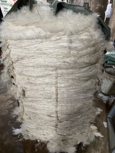 ใยนุ่นธรรมชาติสำหรับรังนกและหมอนทำจากใยนุ่นแห้งทั้งตัว - Product Image 5