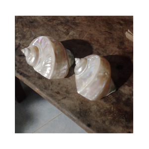 Anneau de serviette en coquillage fait de véritables coquillages Idéal pour les tables de restaurant et les repas inspirés de l'océan Vietnam - Product Image 4