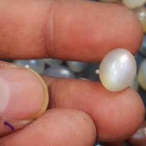 Alta calidad 336 piezas Natural Multi Moonstone Cabochon 12x10mm 16x12mm Oval 2075 Cts piedras preciosas sueltas US $146 IROC Ventas - Product Image 2
