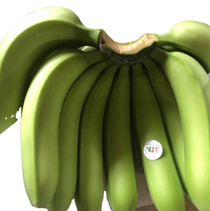 กล้วยเขียวสดพันธุ์คาเวนดิช - ผลไม้คุณภาพสูง - Product Image 4