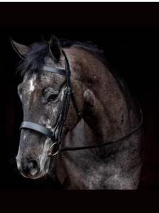 Juego completo de brida de caballo de cuero genuino con broca y riendas marrón-Producto genuino del fabricante - Product Image 3