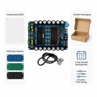 Module amplificateur audio pour voiture CA-3116-200W TPA3116D2 2x100W DC12-24V – Vente en gros, OEM, Fabricant d'enceintes, Assemblage