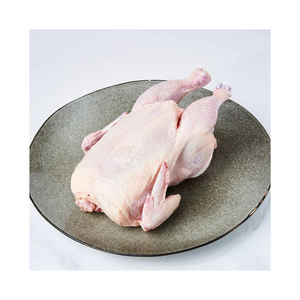 Pollo entero congelado de calidad de exportación con logística confiable de cadena de frío - Product Image 1