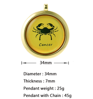 Pendentif original Scalar Japan Technology Nano Quantum Ion Science Avantages Double Face Douze Constellations Energy Pendant