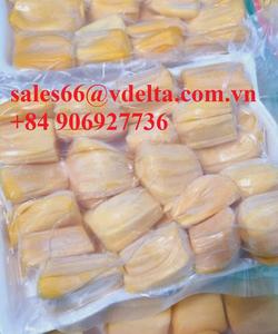 Fruit du jacquier congelé-frais, biologique, doux, de haute qualité, fournisseur en gros au Vietnam pour l'exportation/Lily + 84 906927736 - Product Image 4