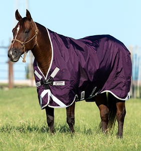 Manta de Invierno para Caballo, Impermeable y Transpirable, 1200D, para Doma Clásica, con Forro de Plumas, 2 Correas para las Patas, Ligera y de Lujo - Product Image 3