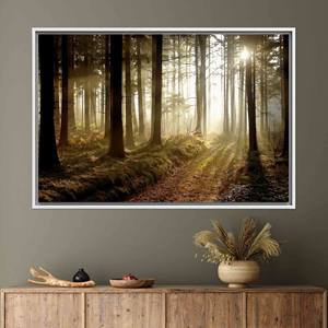 ภาพพิมพ์บนผ้าใบ Sunset Forest Path: ภาพตกแต่งผนังลายธรรมชาติ,1P:กรอบสีขาว - Product Image 1