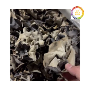 Venta al por mayor comestible nube oreja hongo para cocina asiática - Product Image 2