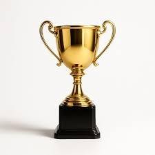 Coupe de trophée de cricket en métal de luxe, récompense de championnat, objet commémoratif - Product Image 4