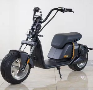 Nuevo 2026 ORIGINAL Fat Tire Door EEC, COC City 3000W Eléctrico SC 55A Batería Grande - Product Image 1