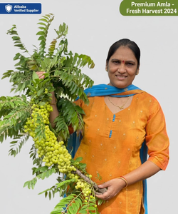 Ingrédient pour le nettoyage du côlon : Amla sèche (groseille indienne / Phyllanthus emblica) - Product Image 2