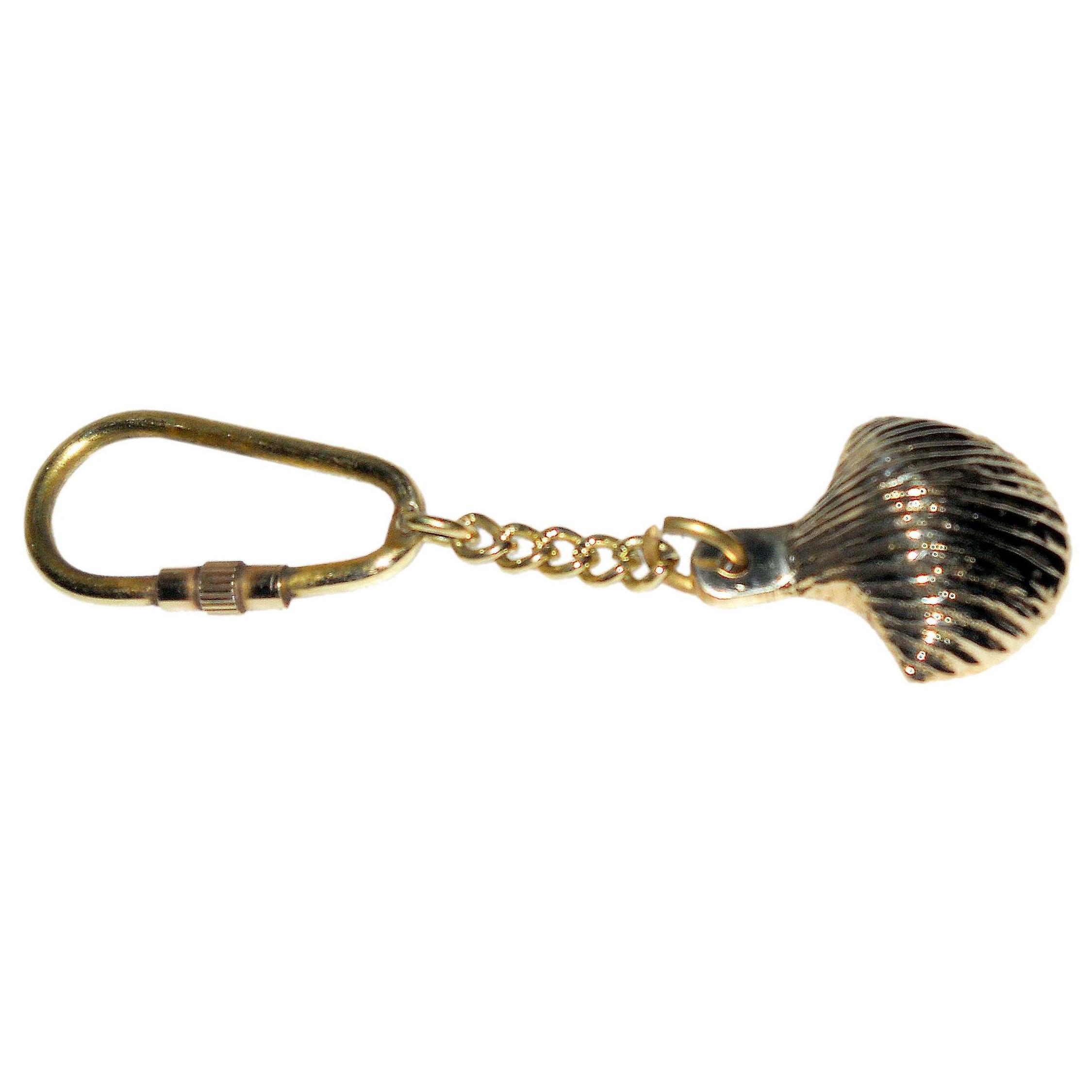 ตามที่แสดง